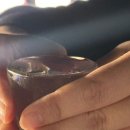 수원-0151 | 수원 행궁동 성곽뷰 루프탑 야장 '촌놈' 곱도리탕