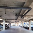 원도안로-19 이미지