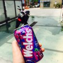 스타세차천국 이미지