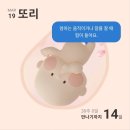 양스김밥 | D-1 두둥 👶