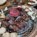 신대박 PC 이미지