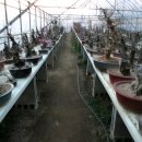 한솔농원 이미지