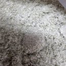 별티농원 이미지