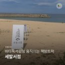 인생서점 협동조합 | [강원 속초] 한여름밤의 꿈 같은 낭만의 북트럭 서점, 세발서점