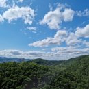 베네스트로즈 이미지