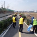 자전거도로 옆 이미지