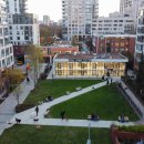 신원축산 | 국가동물보호정보시스템 분석: 반려동물 보호의 디지털 안전망