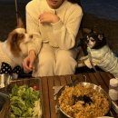 솔비치캠핑장 이미지