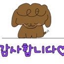 한국관상어협동조합 이미지