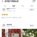 금하딸기체험농장 네이버블로그