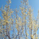 삼랑진목욕탕 이미지