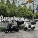 솟대 | 압구정 솟대 사주카페 후기