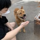 통영더휴A 이미지