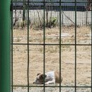 소라상회 - 포항시 남구 일출로204번길 21 | [태안 맛집] 갑오징어볶음 전문 '소라상회'