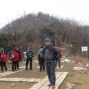 꼬꼬상회 이미지