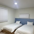 배롱나무 독채스테이 | [서귀포 배롱나무 독채 스테이] 제주도 어른 5인 숙소 후기