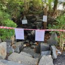 약사사약수터 이미지