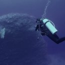 린아카데미 이미지