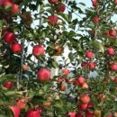 성내안길 이미지