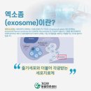 가디언 동물의료센터 이미지