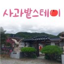 [가평 펜션 추천] 사과밭스테이 다녀온 후기!