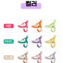 (주)리드온 | 착용 쉬운 강아지 앞섬방지 하네스 추천 멍템 팔레트 하네스 사용 후기