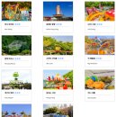 패밀리코스 이미지