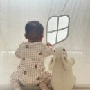 두리하우스 이미지