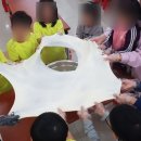 최강두리 태권도장 이미지