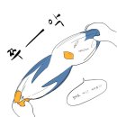 🖤🤍🐧펭긴굿즈 무나후기 🐧🤍🖤 이미지