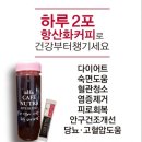 베리커피 Daum카페