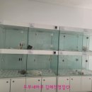 김해 강아지분양 두부네 하루 이미지