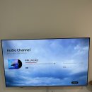 천사바다펜션 | [대부도_대부도펜션밸리] 바다 앞 온수풀 있는 흐름 키즈풀빌라 내돈내산 후기✨