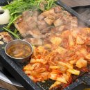오늘도 고양이처럼 고씨네 하우스