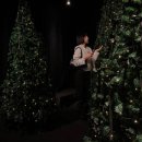 하논 | [광주/월계동] 첨단 크리스마스 트리 포토존 심야 카페 <HANON 하논> 후기