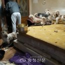 유천1동 행정복지센터 충청신문