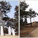 휴양림길 이미지