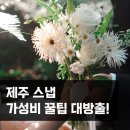 제주 스냅 가성비로 준비하는 법! 직접 해본 리얼 후기 / 서이추 환영