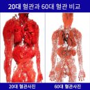(주)본초바이오 이미지