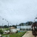 소소하녹 이미지