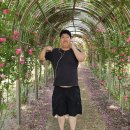 사선대마트 이미지