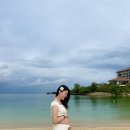 맑은교통 | 22주차 임산부 태교여행으로 오키나와 2박3일 후기(김해공항 교통약자)