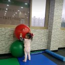 디자인유어바디(Design Your Body) 이미지