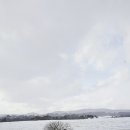 만지농장 이미지