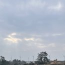 낙천서가 이미지