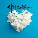 2026.5. 22(금) 테마방 출석글( 딱 !! 한명) 이미지