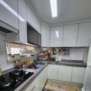 신방한라동백@ 2 이미지