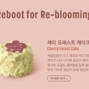포레스트케이크