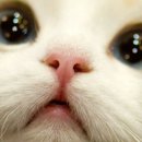 대박이 PC 이미지