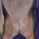 해운대 플러스동물병원 이미지